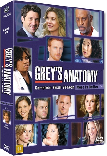 ABC Grey's Anatomy - Sesong 6